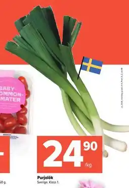 Coop Extra Purjolök, SEK 24.9 erbjuda