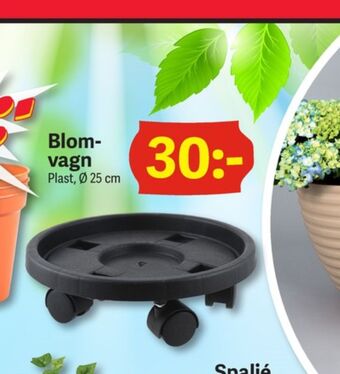 Blomvagn