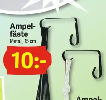 Ampelfäste