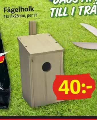 Fågelholk