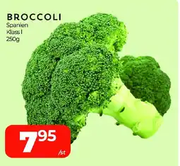 Matrix Butikerna Broccoli erbjuda