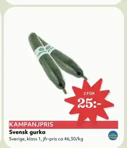 Hemköp Svensk gurka erbjuda