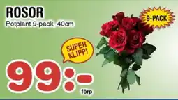 Nya Pulsen ROSOR Potplant 9-pack, erbjuda