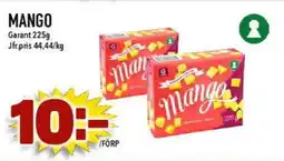 Nya Pulsen MANGO erbjuda