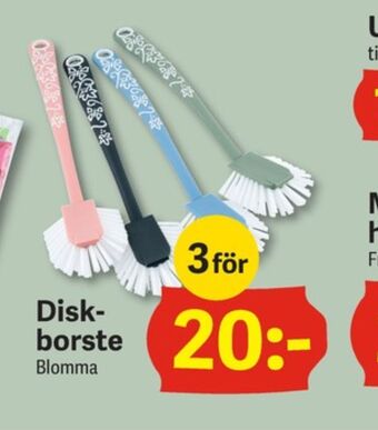 DollarStore Diskborste erbjuda