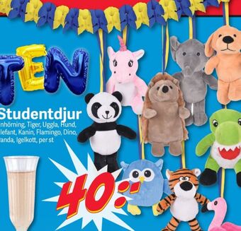 DollarStore Partytillbehör erbjuda