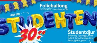 DollarStore Ballonger erbjuda
