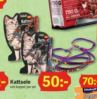Kattsele