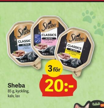 Sheba Kattmat