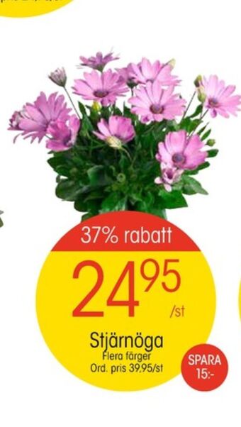 EKO Plantor erbjuda