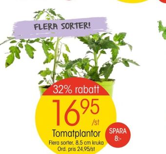 EKO Plantor erbjuda