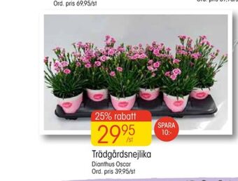 EKO Plantor erbjuda
