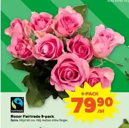 Stora Coop Rosor Fairtrade 9-pack, SEK 79.9 erbjuda