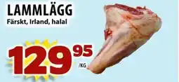 LAMMLÄGG
