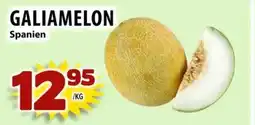 Matvärlden Tensta GALIAMELON Spanien erbjuda