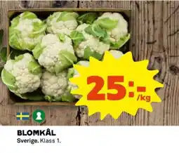 Coop BLOMKÅL Sverige. Klass 1. erbjuda
