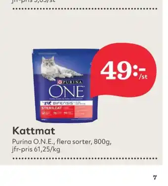 Purina One Kattmat
