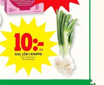 ICA Kvantum Lök erbjuda