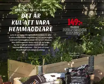 ICA Maxi ICA Garden Pallkrage erbjuda