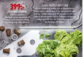 ICA Maxi Nelson Garden Växtbelysningsset erbjuda