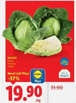 Lidl Spetskål, Pris i appen erbjuda