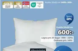 JYSK Kudde 50x60 cm, SEK 600 erbjuda