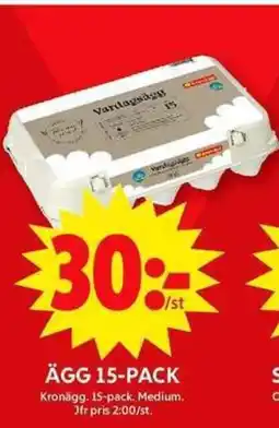 ICA Maxi ÄGG 15-PACK erbjuda
