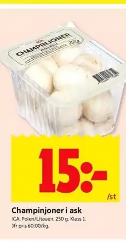 ICA Kvantum Champinjoner i ask erbjuda