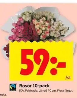 ICA Kvantum Rosor 10-pack erbjuda