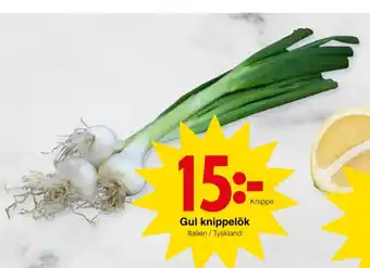 Matöppet Lök erbjuda