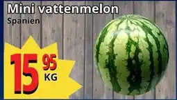 Supergrossen Mini vattenmelon, SEK 15.95 erbjuda