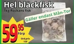 Hel bläckfisk, SEK 59.95
