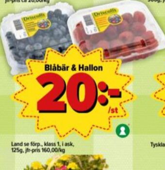 Östenssons Driscolls Blåbär erbjuda