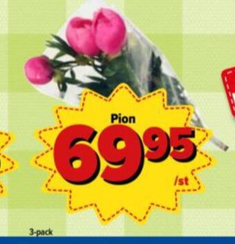 Östenssons Blommor erbjuda