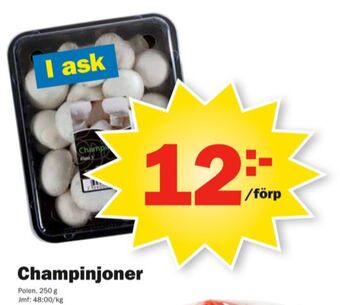 Pekås Champinjoner erbjuda