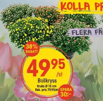EKO Bollkryss erbjuda