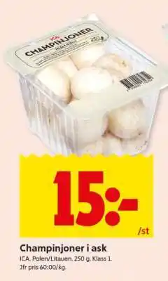 ICA Supermarket CHAMPINJONER I ASK erbjuda