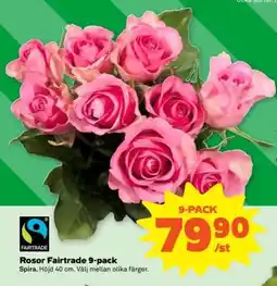 Coop Rosor Fairtrade 9-pack erbjuda