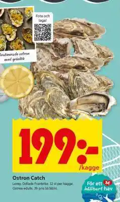 ICA Supermarket Ostron Catch erbjuda
