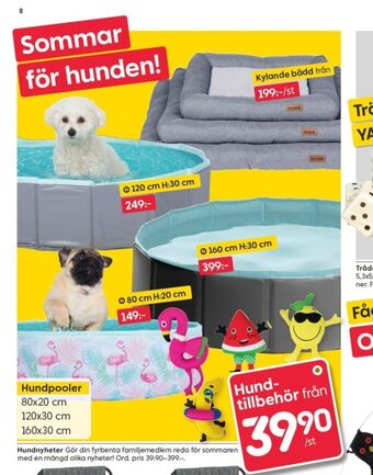 Rusta Hundtillbehör erbjuda