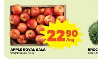 Stora Coop Äpplen erbjuda