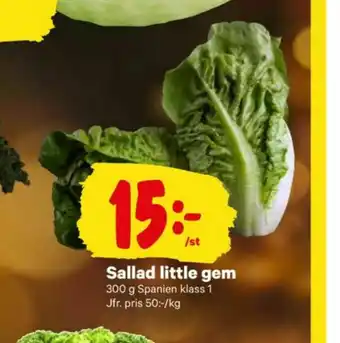 City Gross Sallat erbjuda