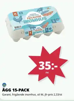 Tempo GARANT Ägg 15-pack erbjuda