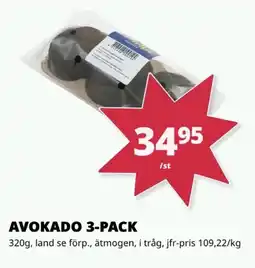Tempo Avokado 3-pack erbjuda