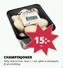 Tempo Champinjoner erbjuda