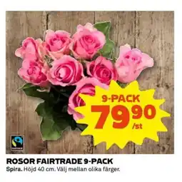 Coop Rosor fairtrade erbjuda