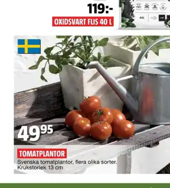 Plantor