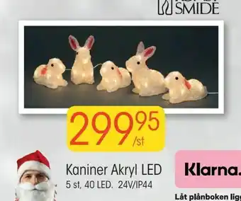EKO Kaniner Akryl LED erbjuda