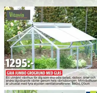 Bauhaus Vitavia Växthus erbjuda