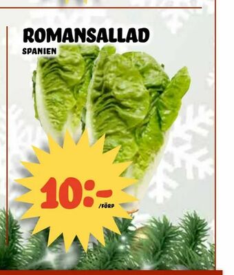 Nelins romansallad erbjuda
